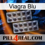 Viagra Blu 31